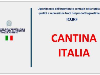 ID blog, Cantina Italia, report Ministero dell'Agricoltura 2024